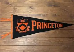 ビンテージ　princeton ペナント　カレッジ　ドール　60s