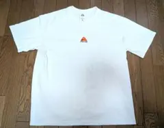 ★激レア★ nike acg センター刺繍ロゴ Tシャツ ナイキ 00s y2k