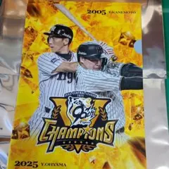 おびわん様 リクエスト 2点 まとめ商品