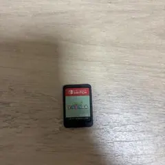 あつまれどうぶつの森 カセット