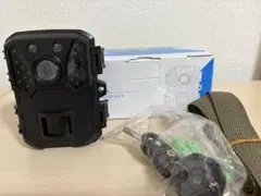 Item thumbnail for item 2e0c8f8b-b20f-4ff5-805d-dddf7d17b7dc