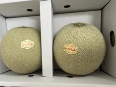 産地直送！訳あり赤肉レッドヒルメロン❗️2玉入り！甘くて美味しい❗️箱込4.3キロのサムネイル