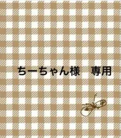 ちーちゃん様専用　ミナペルホネン2点セット