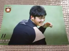 大谷翔平 2014 ハイライトフォト No.260 日本ハム 球団公式写真