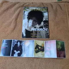 PIERROT表紙 雑誌10冊詰め合わせ - メルカリ