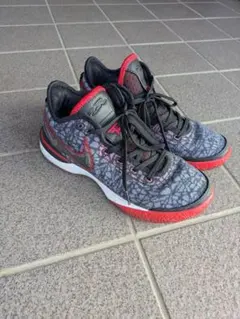 Item thumbnail for item 0dd1f836-62b9-4da4-bb51-03c1b0ea392e