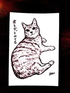 猫 イラスト ポストカード ❪君をずっと見てる❫