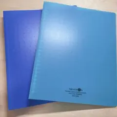 Item thumbnail for item c4a3b61b-f7b3-44f5-85e1-096cb566d4ad