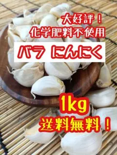 大好評♪令和8年産 バラ にんにく 栽培期間中農薬不使用 ニンニク 1kgのサムネイル