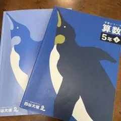 2026年最新】四谷大塚 予習シリーズ 5年下の人気アイテム - メルカリ