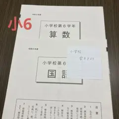 ③小学6年　全国学力テスト