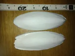 鳥用 カトルボーン 2個セットのサムネイル