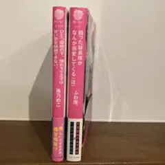 野いちご文庫　小説2冊セット