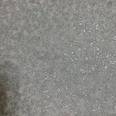 harunoki様 リクエスト 2点 まとめ商品