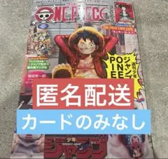 【最安値、即日発送】ONE PIECE magazine マガジン　カードなし