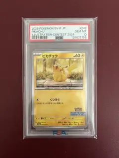 ぴ*ん様 2025 ピカチュウ イラストコンテスト 2024 PSA10 即発送
