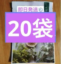 Item thumbnail for item deed8cd7-fdde-493e-b419-07175940806f