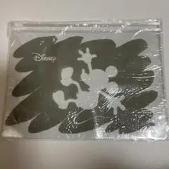 【新品・未使用品】ディズニー　天チャックケース