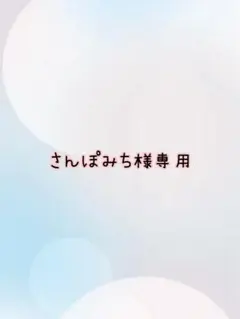 さんぽみち様専用