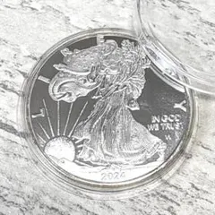 イギリスブリタニア アメリカイーグル 純銀1/10オンス2枚セット - メルカリ