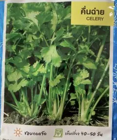 みっくさん様 リクエスト 3点 まとめ商品