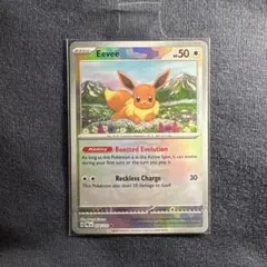 ポケモンカード 英語版 イーブイ プロモ BKR 010/018 - メルカリ