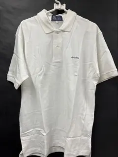 ひ*し様 【美品】Brioni ブリオーニ シルクコットン ポロシャツ XL ベ ひ*し様 【美品】Brioni ブリオーニ シルクコットン ポロシャツ XL ベ