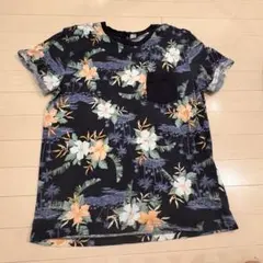 Item thumbnail for item 1bd0d321-6e3a-4c87-82cc-09a7be4a4c53