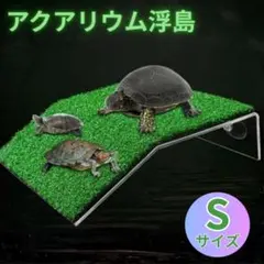 Item thumbnail for item b02aa50c-aa13-4f14-ad52-fd8a954fea31