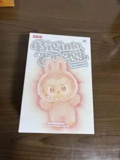 【正規品】Big into Energy ラブブ LABUB 未開封