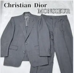 DIOR/メンズ/スーツ/グレー