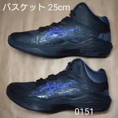 バスケット 25cm アシックス NOVA FLOW 2