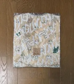 Item thumbnail for item 50d8d37b-31b3-4629-a9be-1324c8e9e9e4