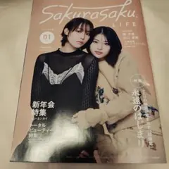 Item thumbnail for item 12789fb8-a77f-44c7-b928-e6adb1df8cec