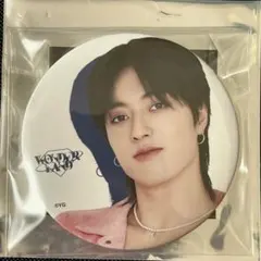 treasure ペンミ wonderland ハルト 缶バッジ