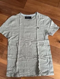Abercrombie & Fitch／アバクロ／Tシャツ／コットン／綿／夏