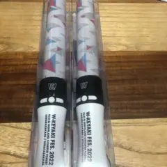 Item thumbnail for item ee26249e-810c-4477-9e6b-d7f838b8e076