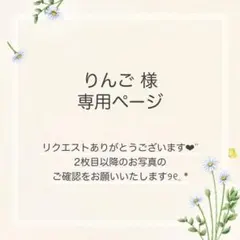 りんご様 おまとめ10点