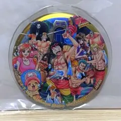 ワンピース USJ 2019 輩缶バッジ  シークレット  麦わらの一味