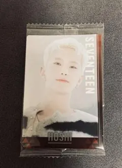 SEVENTEEN セブチ ウエハース シール ホシ