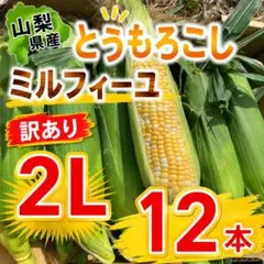 山梨県産　訳あり　とうもろこし　ミルフィーユ　2Lサイズ　12本入　②のサムネイル