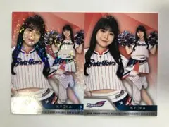 【KYOKA】BBM 2025 チア ヤクルト パラレル 2枚セット