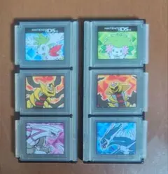 ポケモン ニンテンドーDS カードケース 2個セット　希少