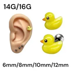 ひよこ　軟骨ピアス　ストレートバーベル　ボディピアス　人気