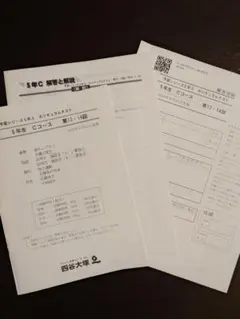 2026年最新】早稲アカ カリキュラムテスト 5年の人気アイテム - メルカリ