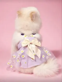 犬服 デイジー チュール ワンピース ラベンダー リボン パープル