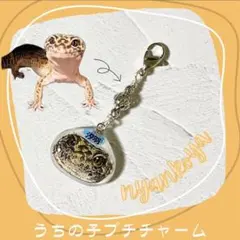 Tama＆TKS様専用★ 犬・猫・爬虫類・ペット似顔絵イラストプチチャーム