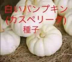 かなた様 リクエスト 3点 まとめ商品