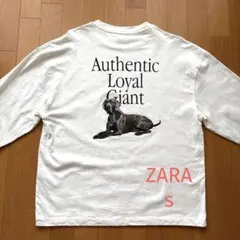 ZARA 長袖Tシャツ ホワイトロングスリーブTシャツ カットソー S ロンT