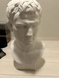 2026年最新】デッサン アグリッパの人気アイテム - メルカリ